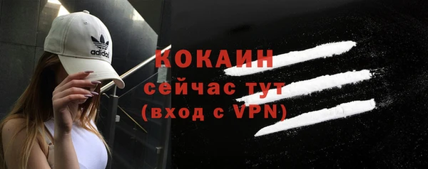 мет Арсеньев